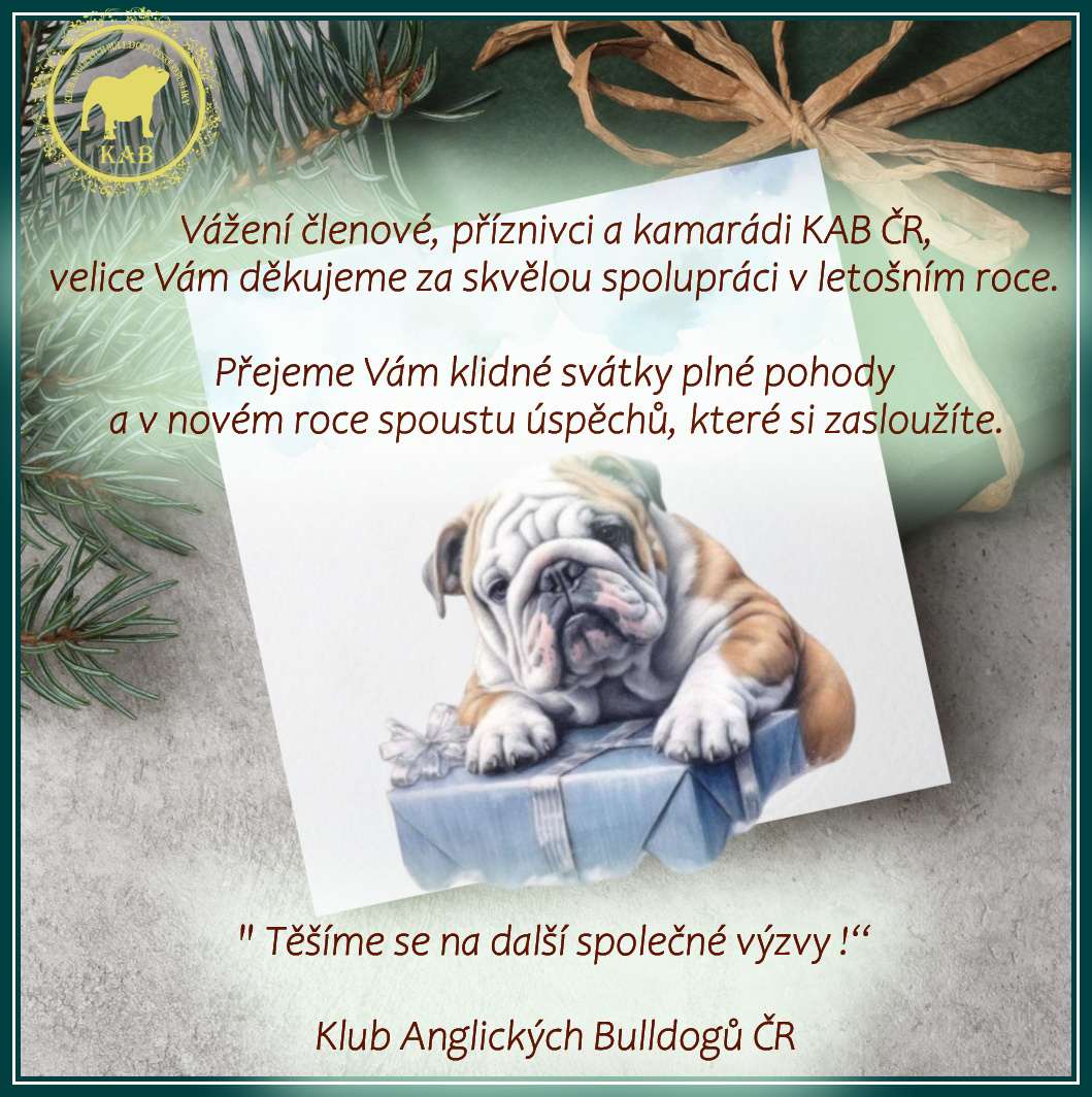 vanocni-prani-2024_4_ST-PREDOK-mockup-CZ-1019x1024